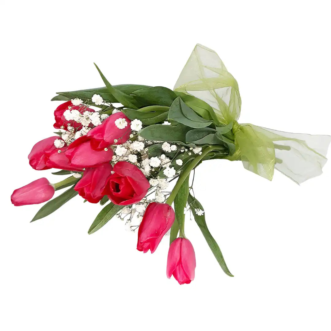 Ramo 10 Tulipanes Fucsias