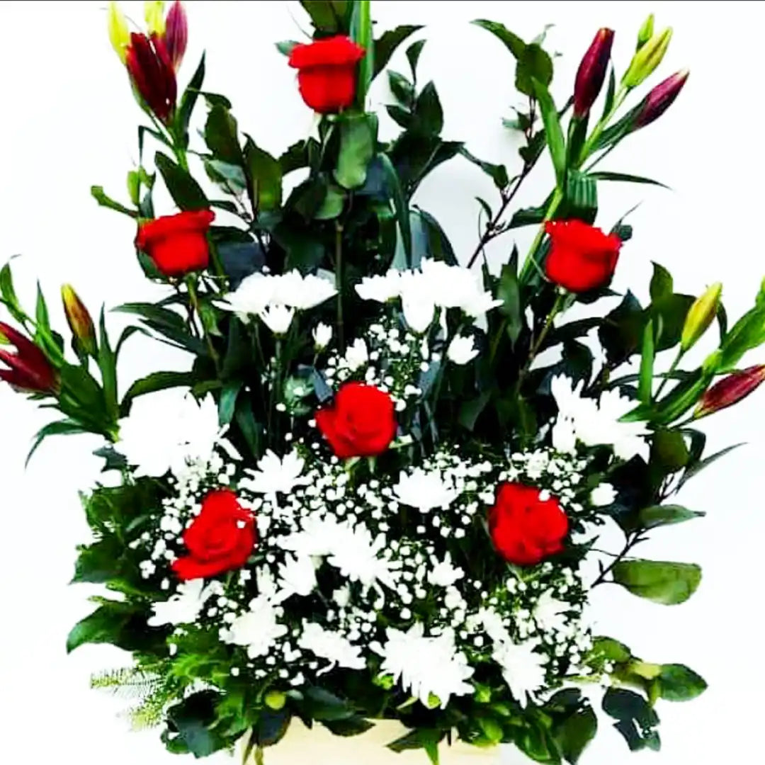 Gran Arrimo Rosas Rojas y Maules Blancos