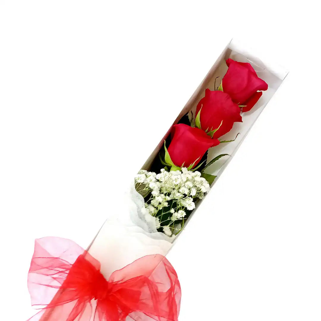 Caja de 3 Rosas Rojas