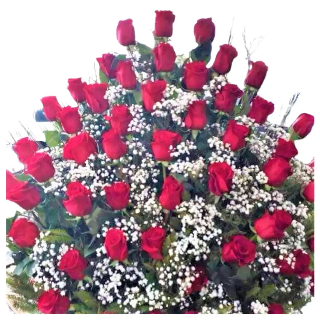 Arrimo Grand Premium
