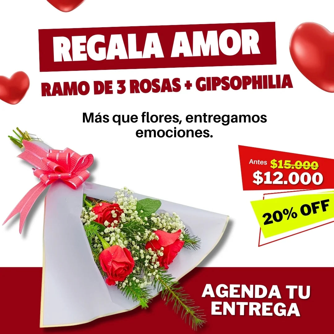Ramo de 3 rosas + Gipsophilia